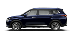 msg_vehicle_carens